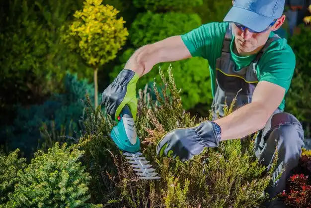 landscaping services Ringgold